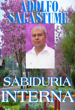 Cover of the book Sabiduria Interna by Mantak Chia