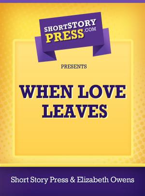 Cover of the book When Love Leaves by Ruth Pettite
