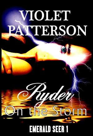 Book cover of Ryder on the Storm: Emerald Seer 1