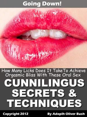 Cover of the book Going Down – How Many Licks Does It Take To Achieve Orgasmic Bliss With These Oral Sex (Cunnilingus) Secrets & Techniques? by Tobias Robison