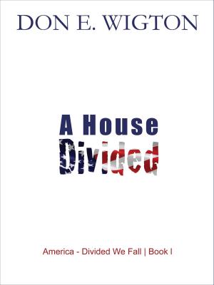 Cover of the book A House Divided by Peter Seewald Pope Benedict XVI