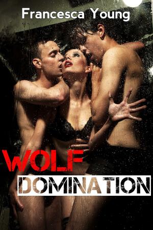 Cover of the book Wolf Domination (Werewolf Erotica) (Submission to the Alpha, Book 2) by M. S. Stevens
