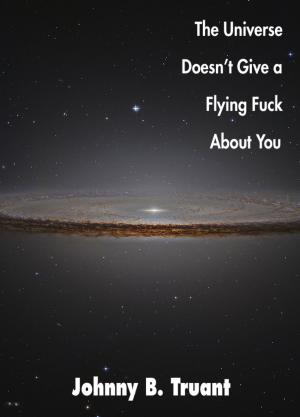 Book cover of The Universe Doesn't Give a Flying Fuck About You