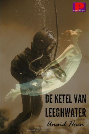 Cover of the book De ketel van Leeghwater by Anaïd Haen, Django Mathijsen