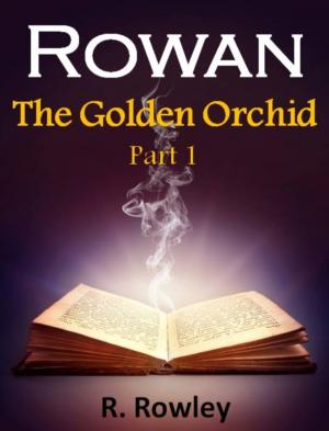 Cover of Rowan - The Golden Orchid Part 1 (Fantasy Paranormal Romance Witches) (The Rowan Series)