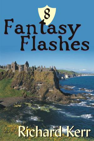 Cover of the book 8 Fantasy Flashes by Stefan Geir