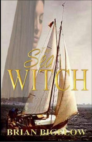 Book cover of The Sea Witch