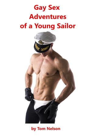 Cover of Gay Sex Adventures of a Young Sailor