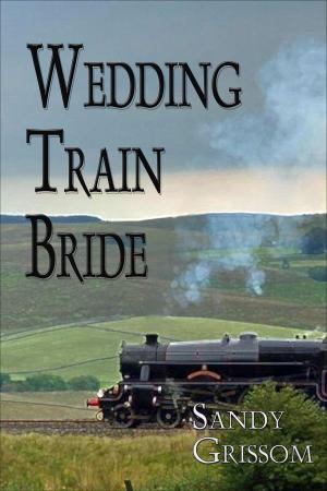 Book cover of Wedding Train Bride