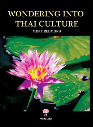 Cover of the book Wondering into Thai Culture by Duncan Stearn