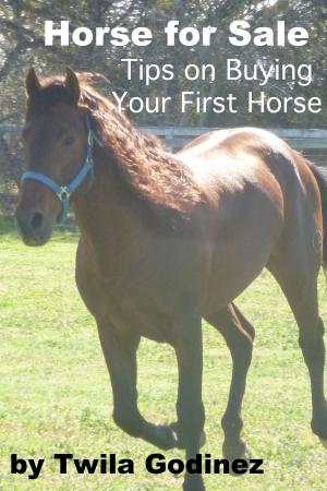 Cover of the book Horse for Sale: Tips for Buying Your First Horse by David Hoobler