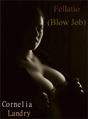 bigCover of the book Fellatio (Blow Job) by 