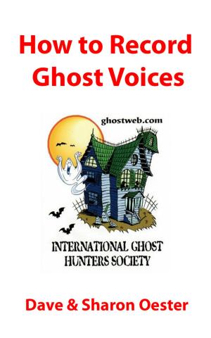 bigCover of the book How to Record Ghost Voices by 
