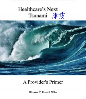 Book cover of Healthcare's Next Tsunami, A Provider's Primer