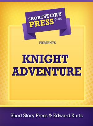 Cover of the book Knight Adventure by Jordan Lane