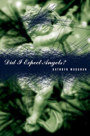 Cover of the book Did I Expect Angels? by E. J. Banfield
