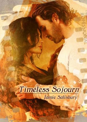 Book cover of Timeless Sojourn