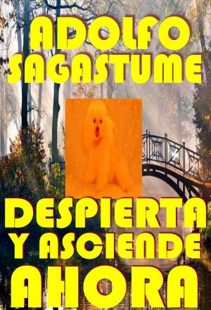 Cover of the book !Despierta y Asciende Ahora! by Adolfo Sagastume