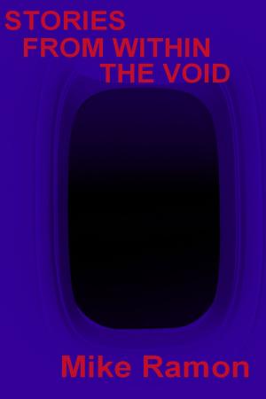 Book cover of Stories from Within the Void
