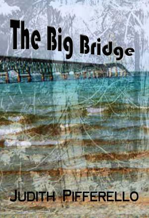 Cover of the book The Big Bridge by Claire Jordan
