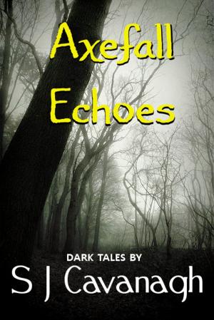 Cover of the book Axefall Echoes by Robert Hatch