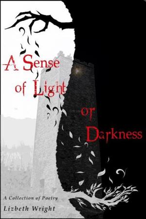 Book cover of A Sense of Light or Darkness