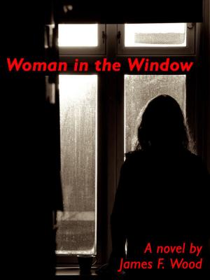 Book cover of Woman in the Window