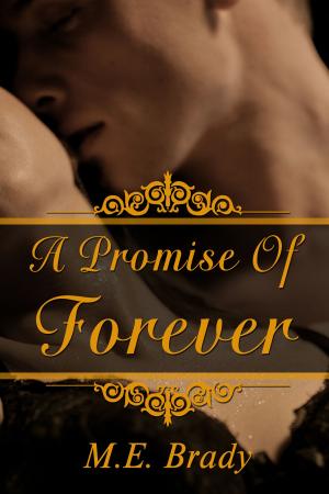 bigCover of the book A Promise Of Forever by 