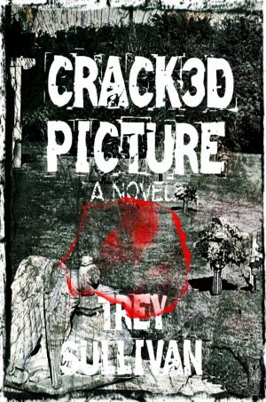 bigCover of the book Crack3d Picture by 
