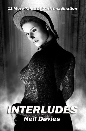 Cover of the book Interludes by R.A. James
