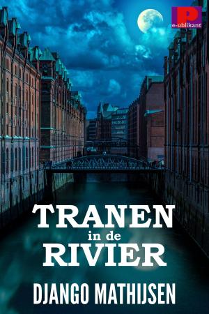 Cover of the book Tranen in de rivier by Anaïd Haen, Django Mathijsen