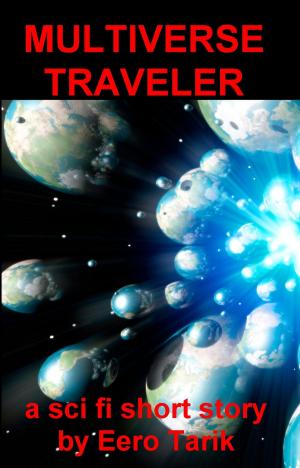 Cover of the book The Multiverse Traveler by Christie Golden