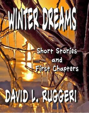 Book cover of Winter Dreams