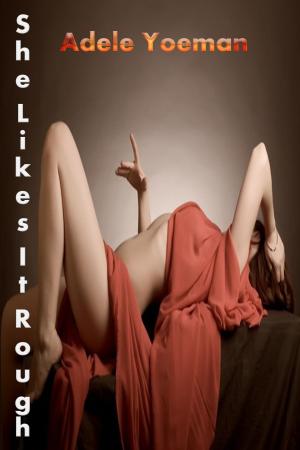 Cover of the book She Likes It Rough by Camille Langtry