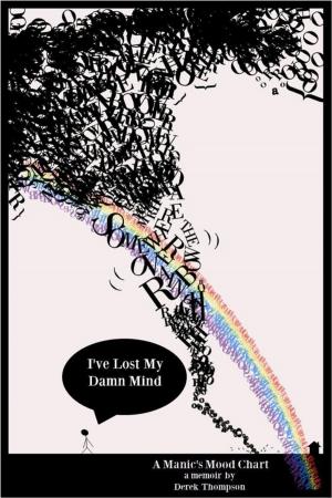 Cover of the book Somewhere Over the Rainbow, I've Lost My Damn Mind: A Manic's Mood Chart by Chris Darwen