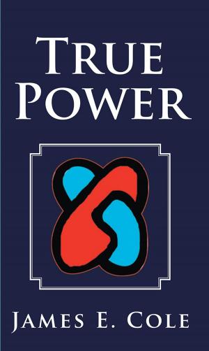 Cover of the book True Power by William Chambless