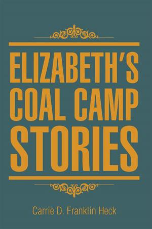 Cover of the book Elizabeth's Coal Camp Stories by Daniel F. McNeill