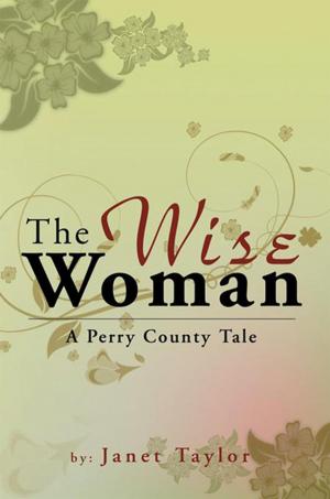 Cover of the book The Wise Woman by MS Weinman