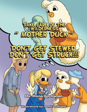 Cover of the book Take Care of the Wilderness! ''Mother Duck'' Don't Get Stewed, Don’T Get Struck!!! by Frederick L. Wedel Jr.