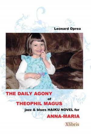 Cover of the book The Daily Agony of Theophil Magus by Jim Gamlin