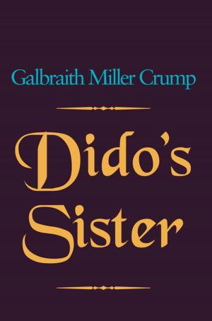 Cover of the book Dido's Sister by Joseph J.A. Quijano CFP®, CDFA®