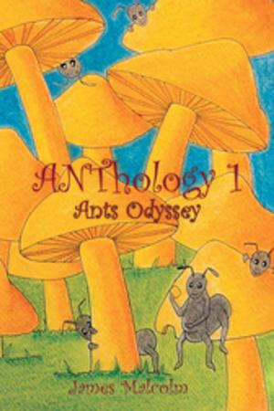 Cover of the book Anthology 1 : Ants Odyssey by John Parker