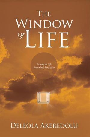 Cover of the book The Window of Life by Jane Ingram