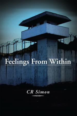 Cover of the book Feelings from Within by Paul Crane