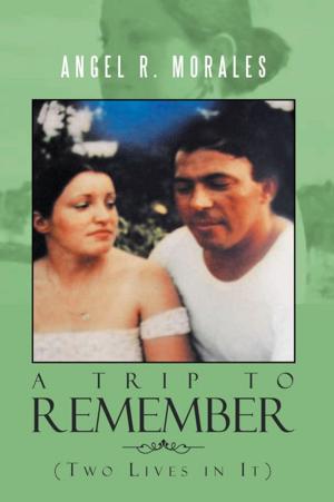Cover of the book Trip to Remember by Dash