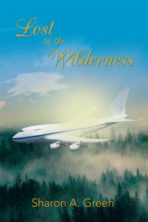 Cover of the book Lost in the Wilderness by Michelle Anne Noonan