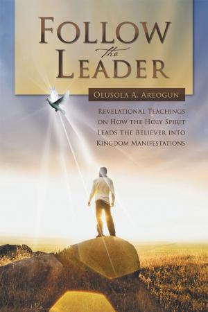 Cover of the book Follow the Leader by Jesse Ayodele Olowojoba
