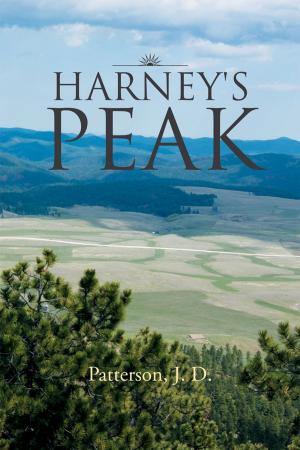 Cover of the book Harney's Peak by Christopher Brandlin