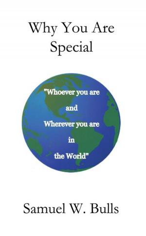 bigCover of the book Why You Are Special by 