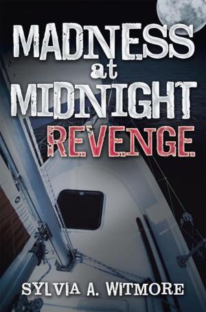 Cover of the book Madness at Midnight Revenge by John W. Mefford